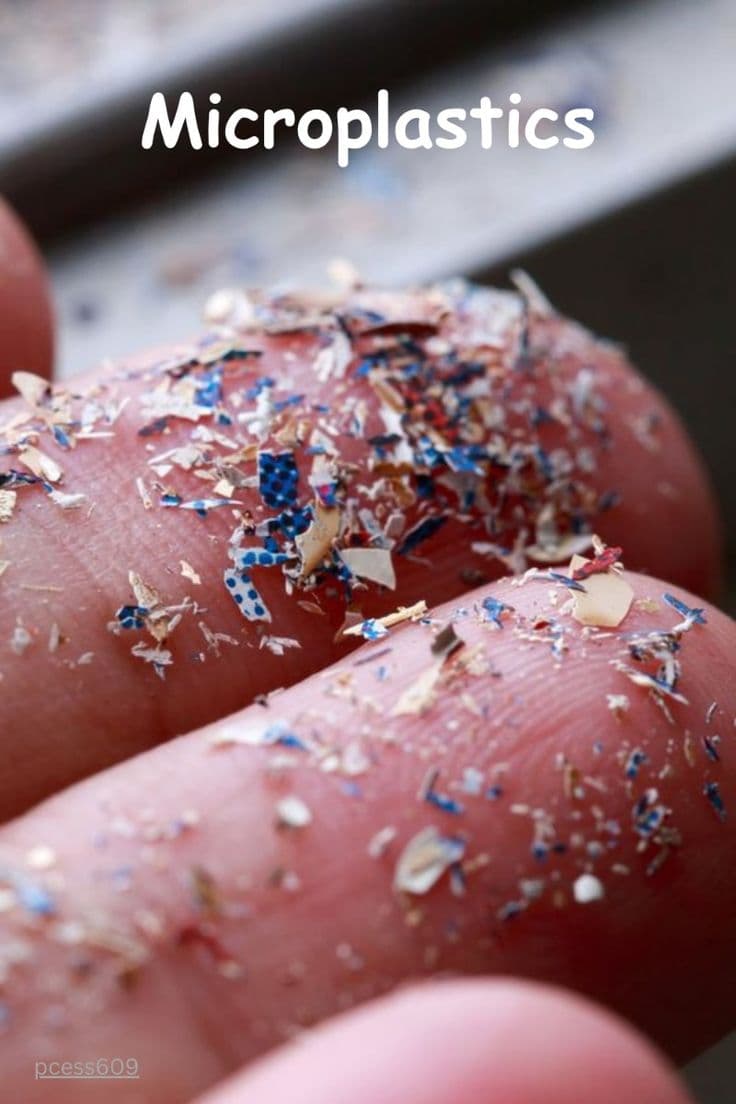 Microplastics Threat